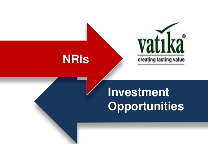 NRIs investment