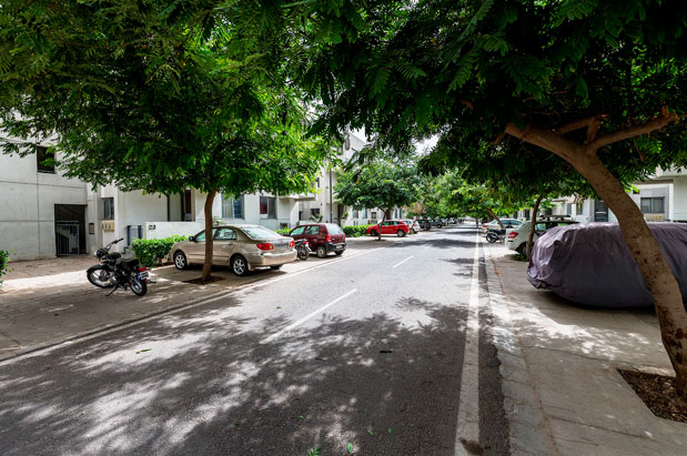 Emilia, Iris & Primrose floors