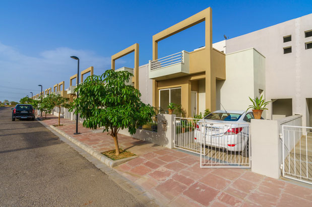 Ivy Homes