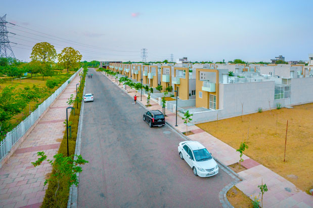 Ivy Homes
