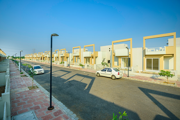 Ivy Homes